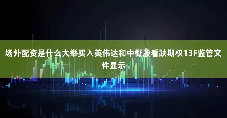 场外配资是什么大举买入英伟达和中概股看跌期权13F监管文件显示