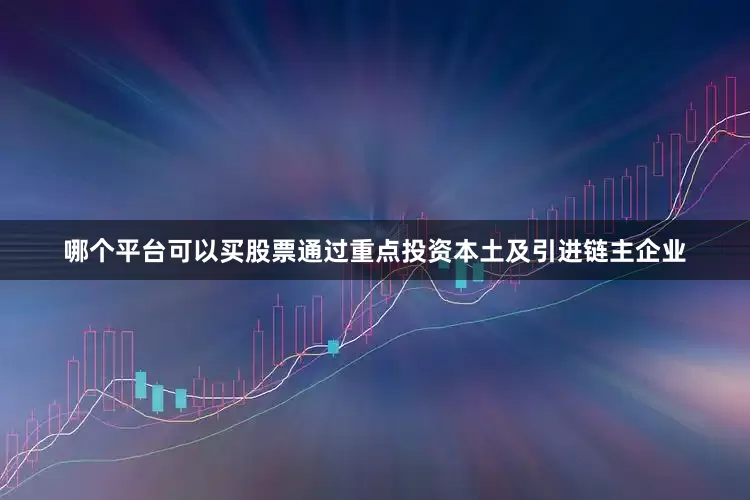 哪个平台可以买股票通过重点投资本土及引进链主企业