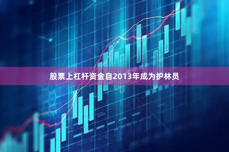 股票上杠杆资金自2013年成为护林员